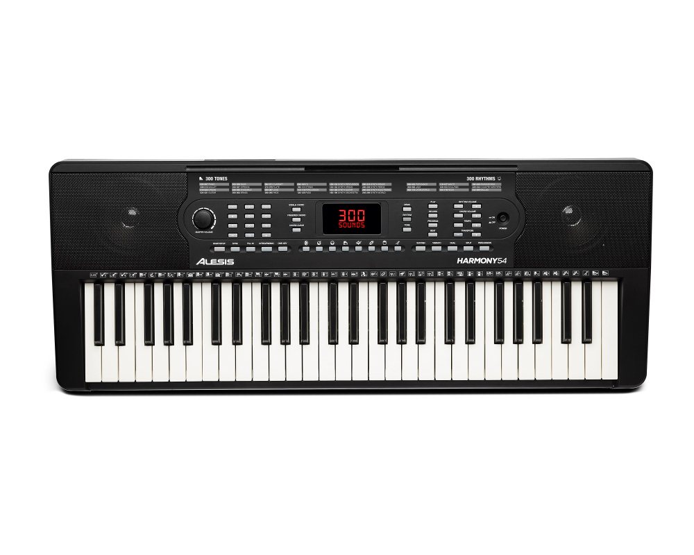 ALESIS HARMONY 54 Основные функции
