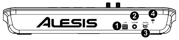 3 (50).png